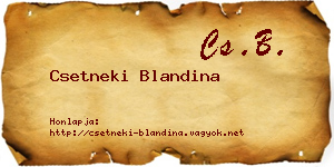 Csetneki Blandina névjegykártya